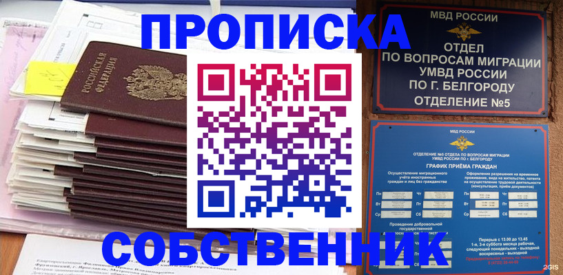 прописка законно в Ногинске